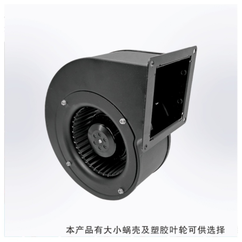 image13.jpeg