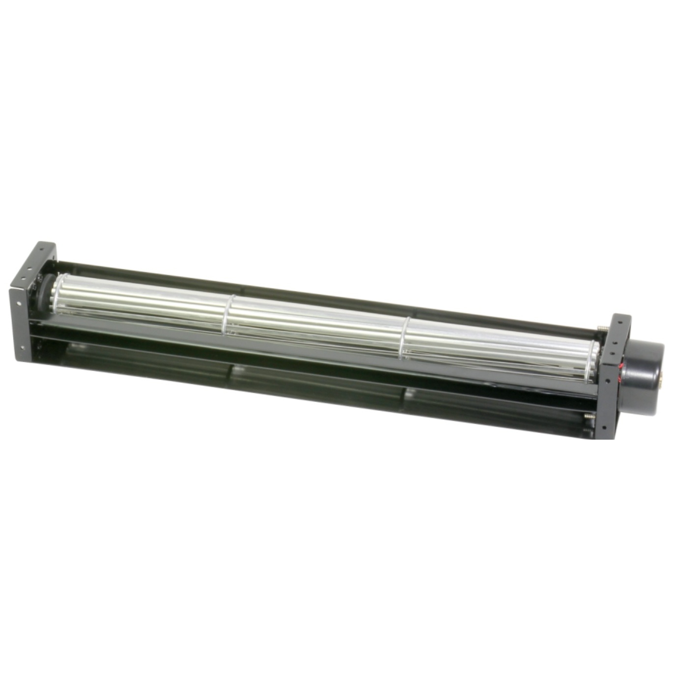 image7.jpeg